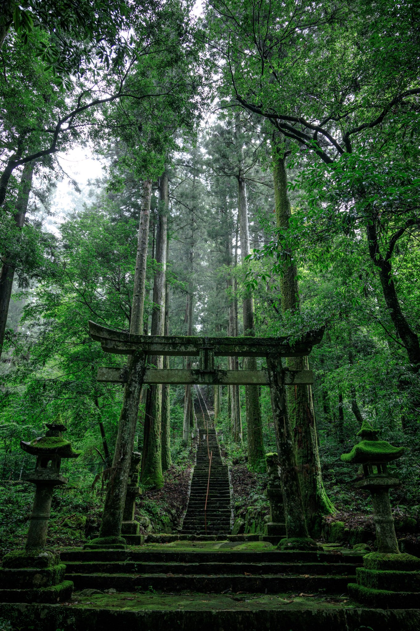 神社仏閣昇華同行コース